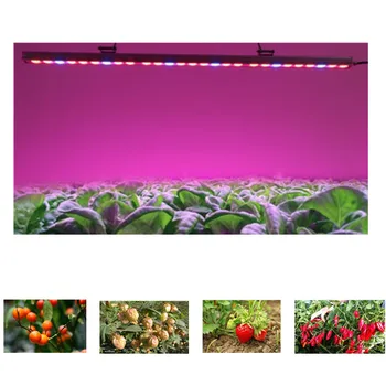 Led lampa za uzgoj Cijeli Niz USB Svjetlosna traka 0,5 m 1 m 2 m 2835 Čip LED Fito-lampa za biljke Cvijeće Staklenik Hidroponi