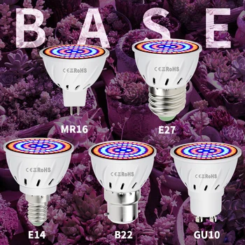 80LED E27 LED Svjetiljka za uzgoj E14 Žarulja cijeli niz GU5.3 Svjetlo-za rast biljaka 220v GU10 Fito-žarulja MR16 Šator za uzgoj B22 Staklenik 2835
